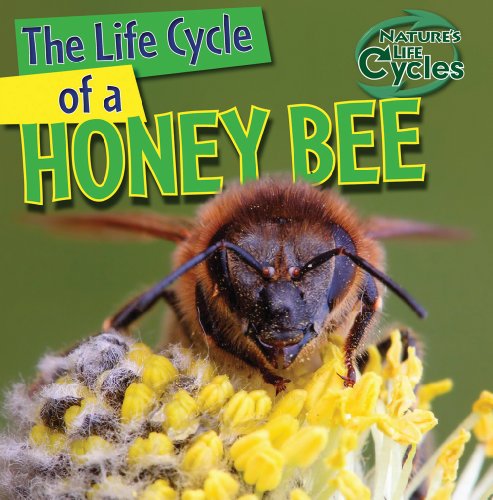 9781433946752: The Life Cycle of a Honeybee (Nature's Life Cycles)