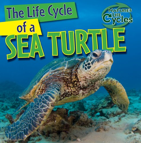 Beispielbild fr The Life Cycle of a Sea Turtle zum Verkauf von Better World Books