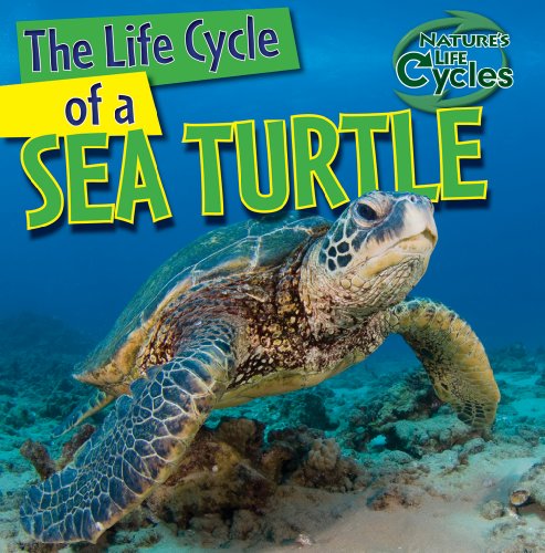 Imagen de archivo de The Life Cycle of a Sea Turtle (Natures Life Cycles) a la venta por Goodwill of Colorado