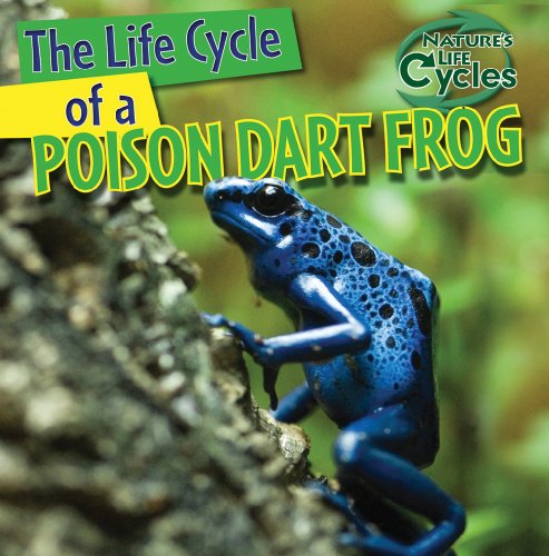Beispielbild fr The Life Cycle of a Poison Dart Frog zum Verkauf von ThriftBooks-Atlanta