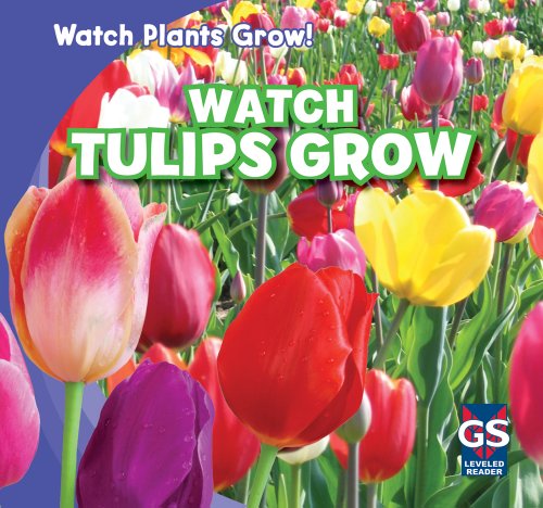 Stock image for Watch Tulips Grow for sale by ThriftBooks-Atlanta