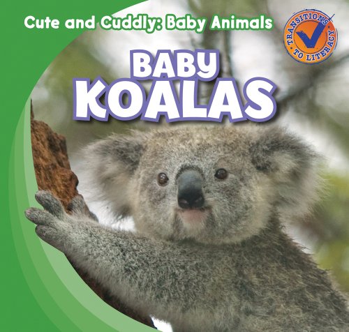 Stock image for Baby Koalas for sale by ThriftBooks-Atlanta