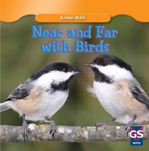 9781433956683: Near and Far With Birds (Animal Math)