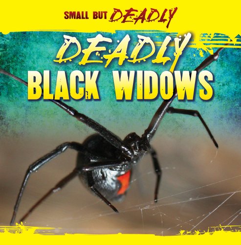 Deadly Black Widows (Small But Deadly) (9781433957321) by Roza, Greg