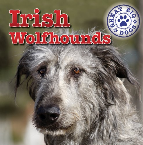 9781433957789: Irish Wolfhounds (Great Big Dogs)