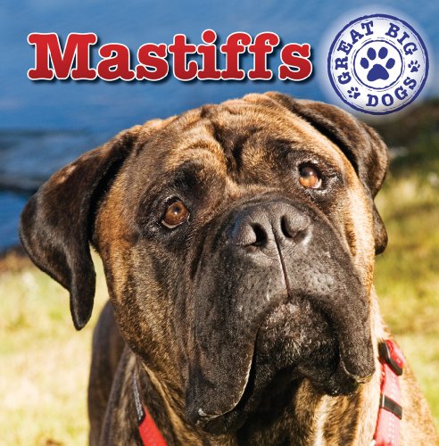 9781433957864: Mastiffs (Great Big Dogs)