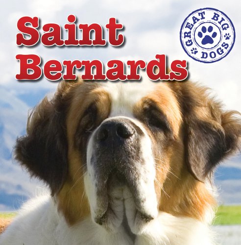 Stock image for St. Bernards for sale by Better World Books