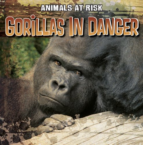 Stock image for Gorillas in Danger for sale by Better World Books