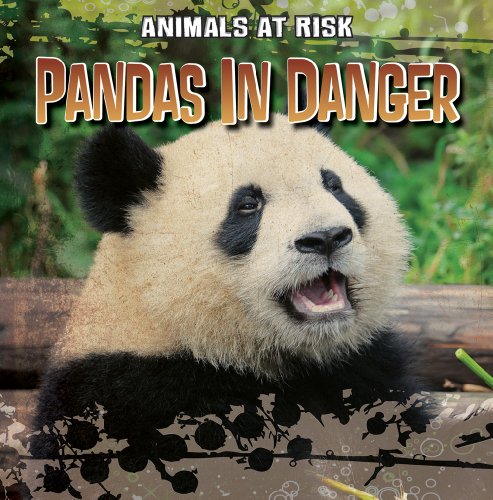 Beispielbild fr Pandas in Danger zum Verkauf von Better World Books