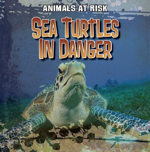 Stock image for Sea Turtles in Danger for sale by Better World Books: West