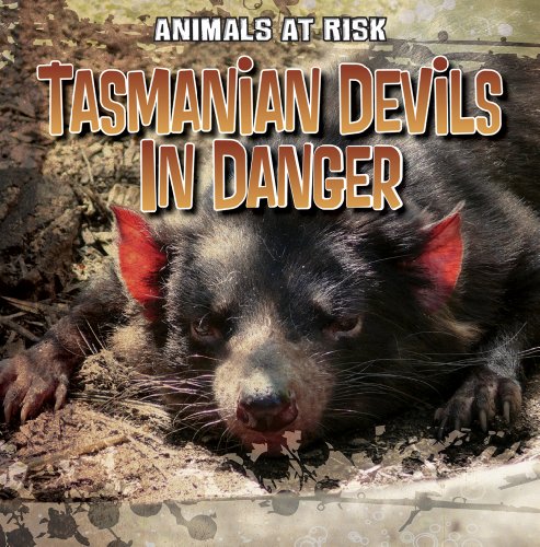 Stock image for Tasmanian Devils in Danger for sale by Better World Books: West