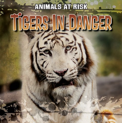 Stock image for Tigers in Danger for sale by Better World Books