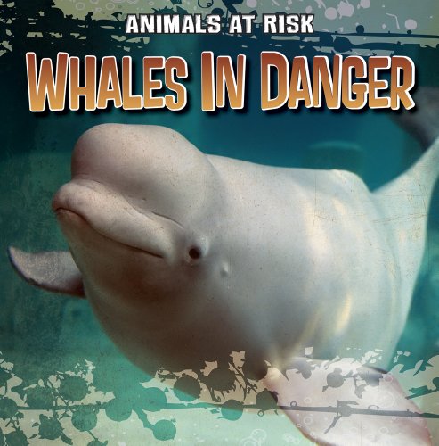 Stock image for Whales in Danger for sale by Better World Books: West