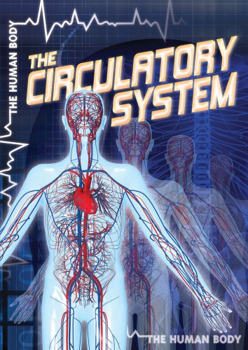 Beispielbild fr The Circulatory System (The Human Body) zum Verkauf von Ezekial Books, LLC