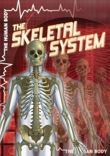 Stock image for The Skeletal System for sale by Better World Books: West