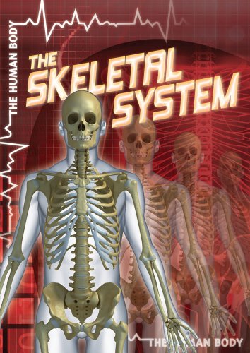 9781433965982: The Skeletal System