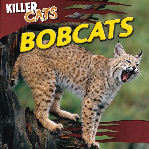 Imagen de archivo de Bobcats a la venta por ThriftBooks-Dallas