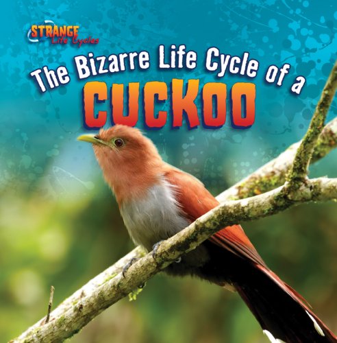 Beispielbild fr The Bizarre Life Cycle of a Cuckoo zum Verkauf von Better World Books