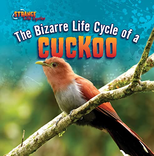 Beispielbild fr The Bizarre Life Cycle of a Cuckoo (Strange Life Cycles) zum Verkauf von More Than Words