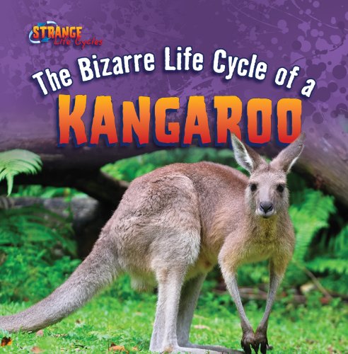 Beispielbild fr The Bizarre Life Cycle of A Kangaroo zum Verkauf von Better World Books