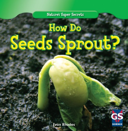 Stock image for How Do Seeds Sprout? for sale by Better World Books