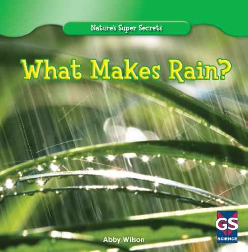 Imagen de archivo de What Makes Rain? (Nature's Super Secrets) a la venta por HPB-Ruby