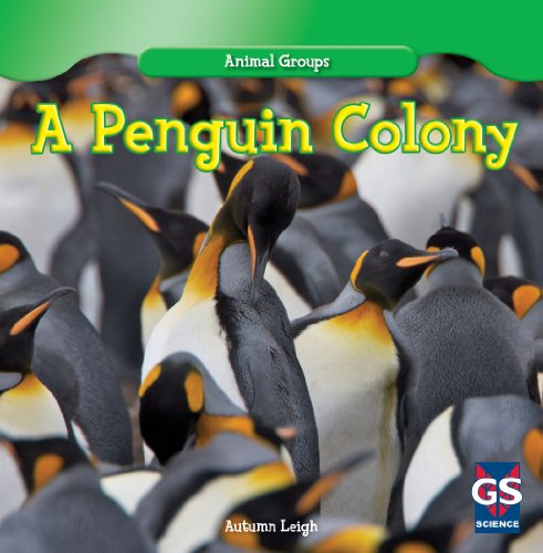 Beispielbild fr A Penguin Colony zum Verkauf von Better World Books: West