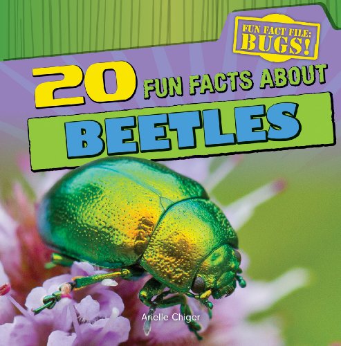 Beispielbild fr 20 Fun Facts About Beetles (Fun Fact File: Bugs!) zum Verkauf von HPB Inc.