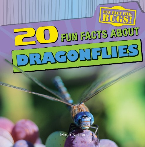 Beispielbild fr 20 Fun Facts about Dragonflies zum Verkauf von Better World Books