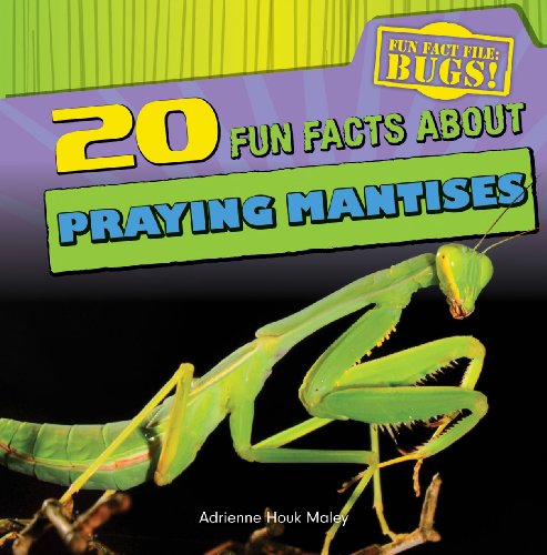 9781433982415: 20 Fun Facts About Praying Mantises