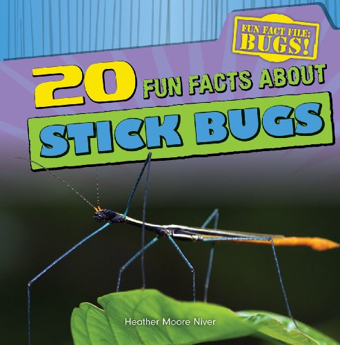 Beispielbild fr 20 Fun Facts about Stick Bugs zum Verkauf von Better World Books