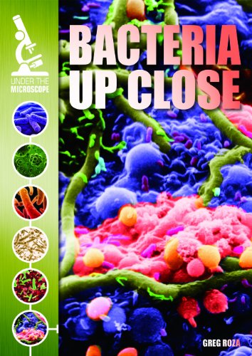 Imagen de archivo de Bacteria up Close a la venta por Better World Books