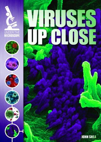 Beispielbild fr Viruses Up Close (Under the Microscope) zum Verkauf von SecondSale