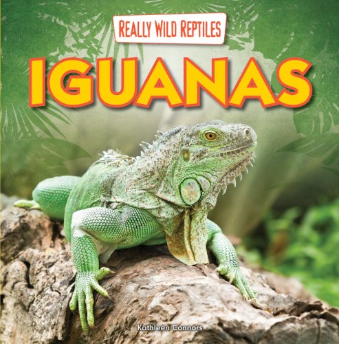 9781433983757: Iguanas (Really Wild Reptiles)