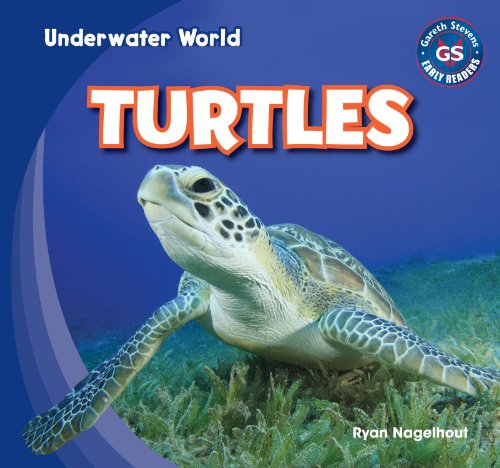 9781433985782: Turtles (Underwater World)