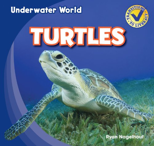 Stock image for Turtles (Underwater World) for sale by SecondSale
