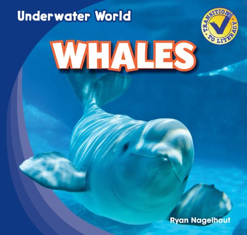 Imagen de archivo de Whales (Underwater World) a la venta por Once Upon A Time Books