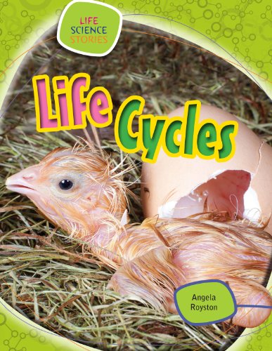 9781433987120: Life Cycles (Life Science Stories)