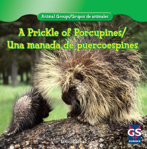 Stock image for A Prickle of Porcupines / una Manada de Puercoespines for sale by Better World Books