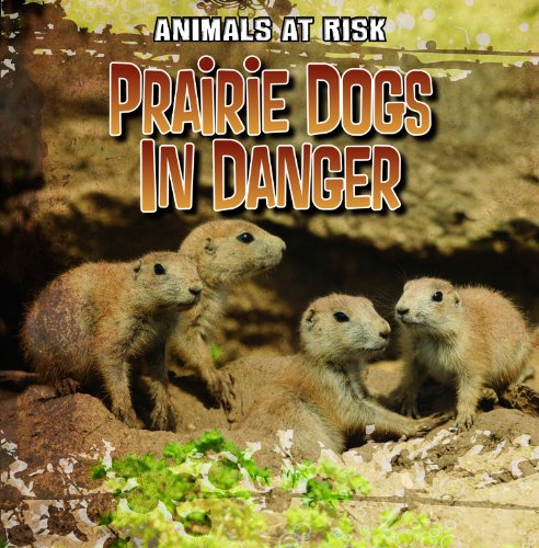 Imagen de archivo de Prairie Dogs in Danger (Animals at Risk) a la venta por Irish Booksellers