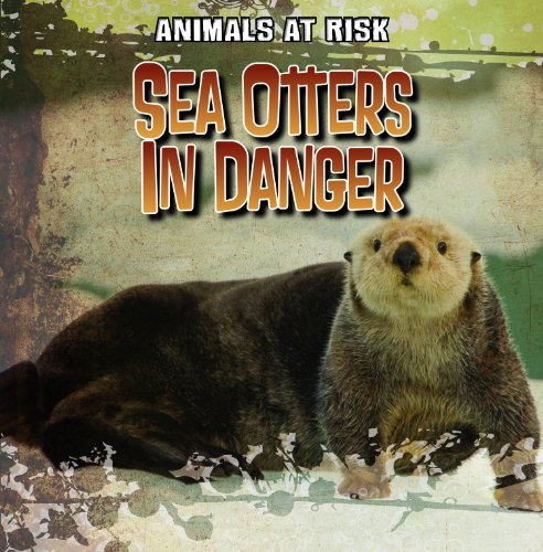 Stock image for Sea Otters In Danger (Animals at Risk) for sale by Irish Booksellers