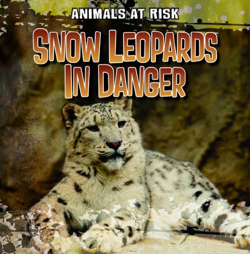 Imagen de archivo de Snow Leopards in Danger a la venta por Better World Books