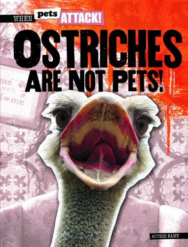 Beispielbild fr Ostriches Are Not Pets! zum Verkauf von Better World Books