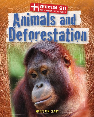Imagen de archivo de Animals and Deforestation a la venta por Better World Books