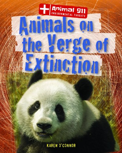 Imagen de archivo de Animals on the Verge of Extinction a la venta por Better World Books