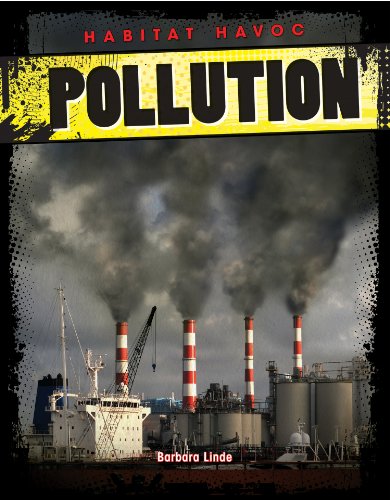 Beispielbild fr Pollution zum Verkauf von Better World Books