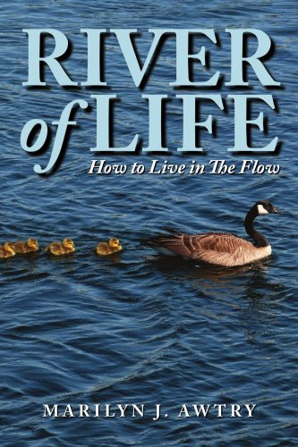 Stock image for River of Life: How to Live in the Flow for sale by ThriftBooks-Atlanta