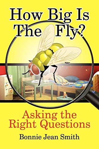 Beispielbild fr How Big Is the Fly? : Asking the Right Questions zum Verkauf von Better World Books