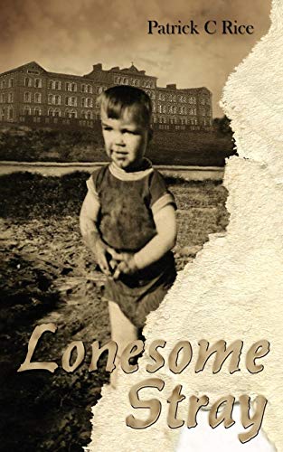 Stock image for Lonesome Stray for sale by Lucky's Textbooks