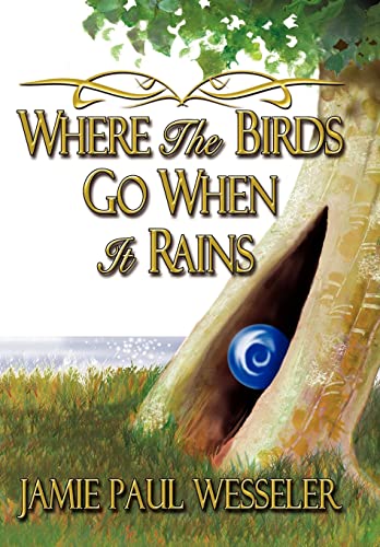 Stock image for Where The Birds Go When It Rains for sale by Lucky's Textbooks